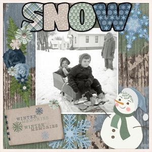 Snow49
