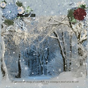Winter-Wonderland-GS