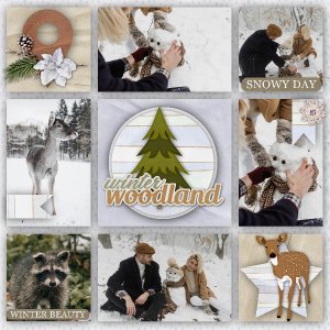 Woodland