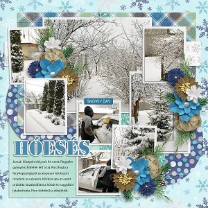 Snow birds