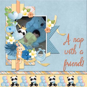 6-scr-baby-panda-ssdT