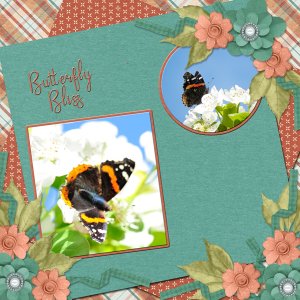 Butterfly bliss