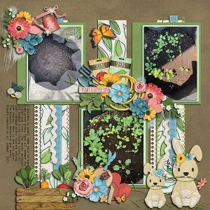 Plant a Little Love