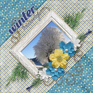Winter Beauty