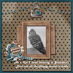 Parakeet