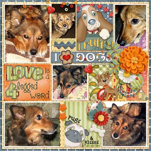 Love Dogs