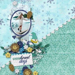 Snowbound Days
