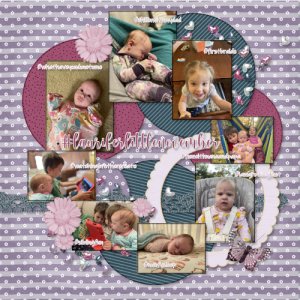 Laurifer littles November