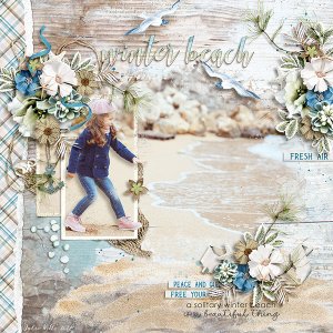 winter beach