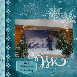 1/2022 Back It Up challenge - Skiing at the Conservatory