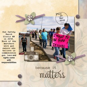 Gun Safety March 2018