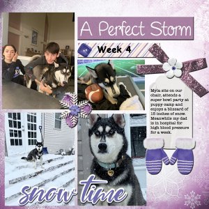 2022 Week 4