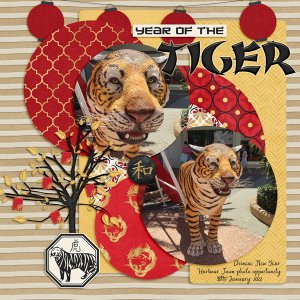 Year of the Tiger