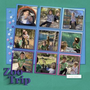 Zoo Trip