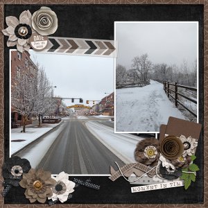 Snowy afternoon in Golden