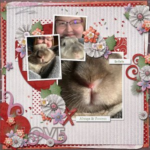 Love Bunny Noses