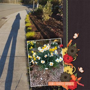 My Shadow