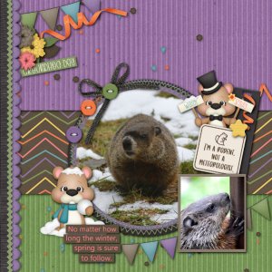 GroundHogs Day!