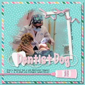 Dentist Dog - Feb22 Mask Challenge