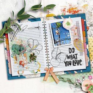 Do what you love