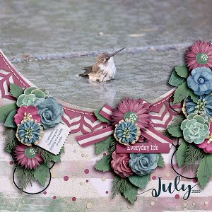 hummingbird