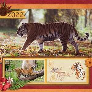 Year of the Tiger