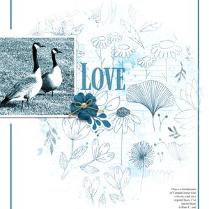 Love
