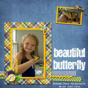 beautiful butterfly