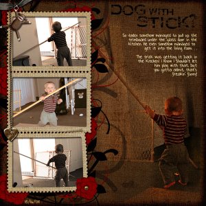 Dog with Stick?