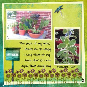 My Herbs