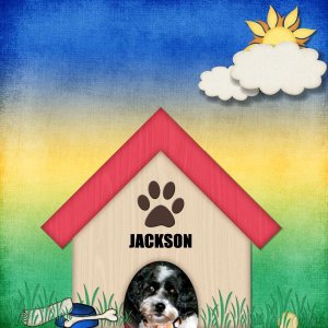 Jackson