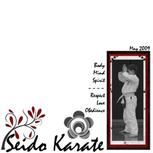 Seido Karate
