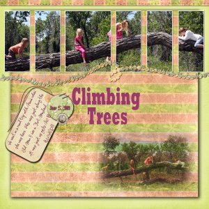 Climbing Trees