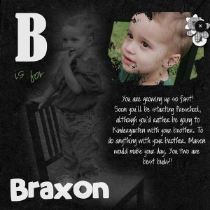 BisforBraxonflat2