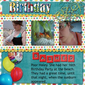 Birthday Bashed