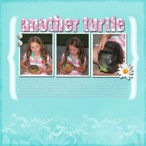 another turtle