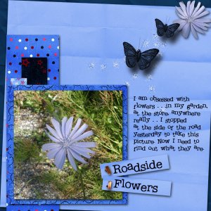 Roadside Flowers