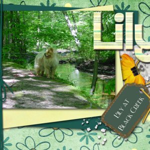 Lily