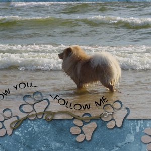 Follow You