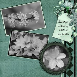 Shades of white