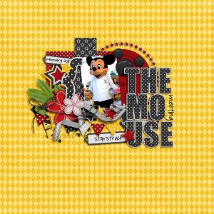 Meeting the mouse