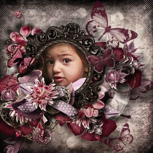 A butterfly