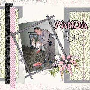 China - Panda Poop