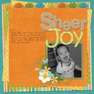SHEERJOYweb_speedScrap_LMS