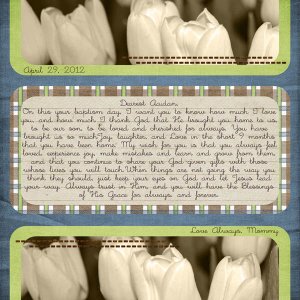 WEB_skdesigns_nightowl_nsdtemp2