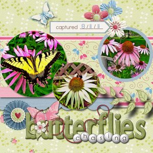 Chasing Butterflies