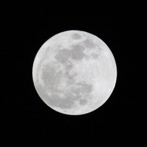 Super Moon Pic