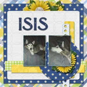 Isis