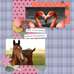 Animal Love