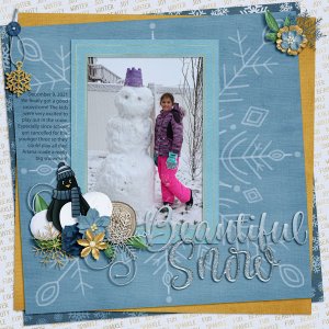 Beautiful Snow